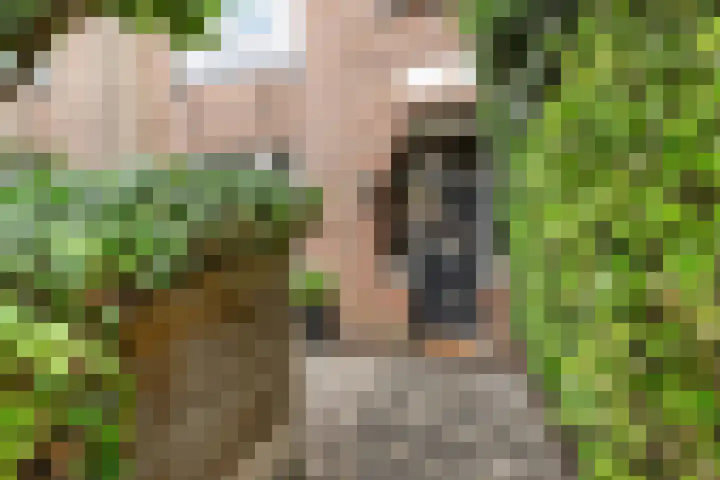 Vrijburgstraat 20 Voorburg thumbnail 4