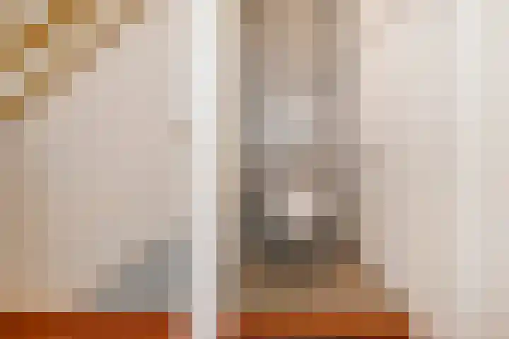 Vrijburgstraat 22 Voorburg thumbnail 21