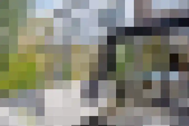 Vrijburgstraat 22 Voorburg thumbnail 36
