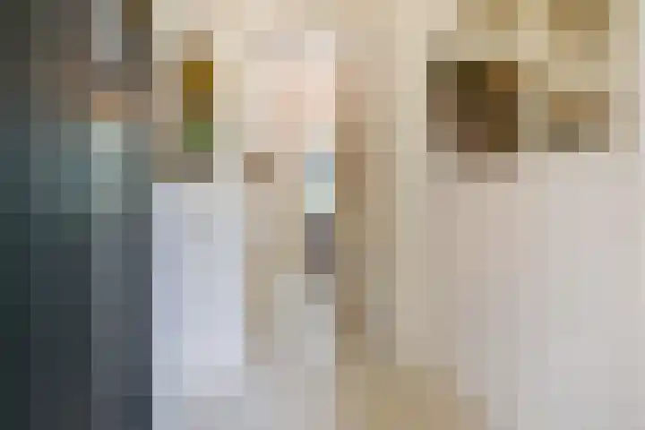 Vrijburgstraat 22 Voorburg thumbnail 4