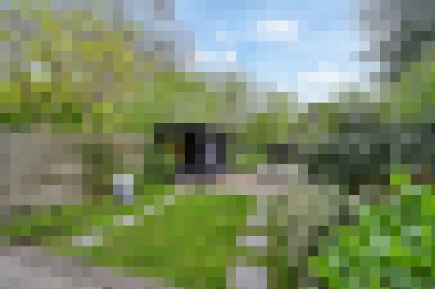 Vrijburgstraat 3 Voorburg thumbnail 26