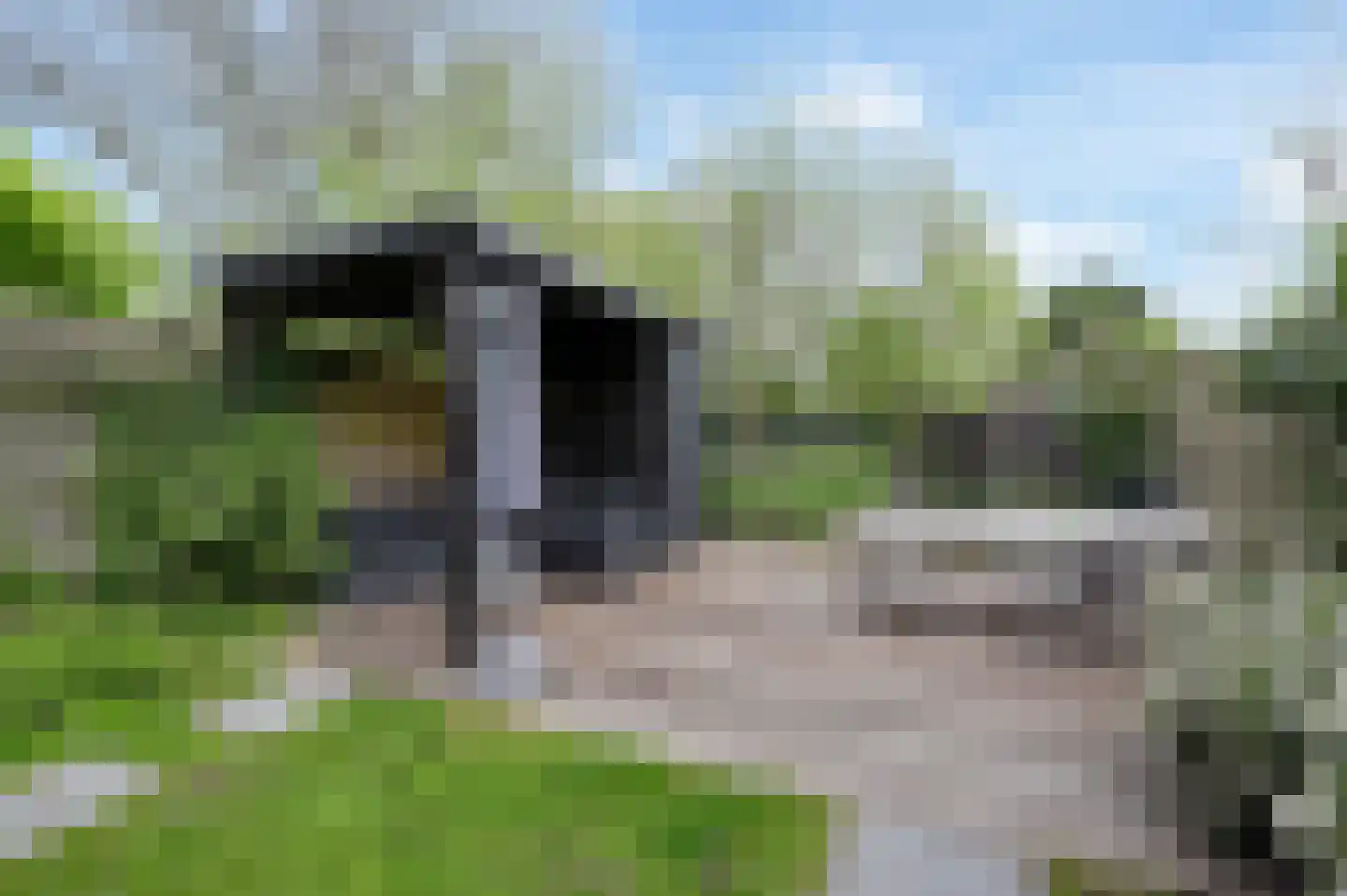 Vrijburgstraat 3 Voorburg thumbnail 29