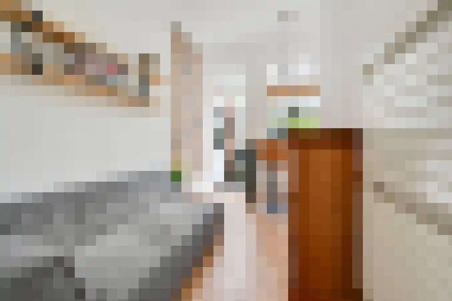 Vrijburgstraat 3 Voorburg thumbnail 32