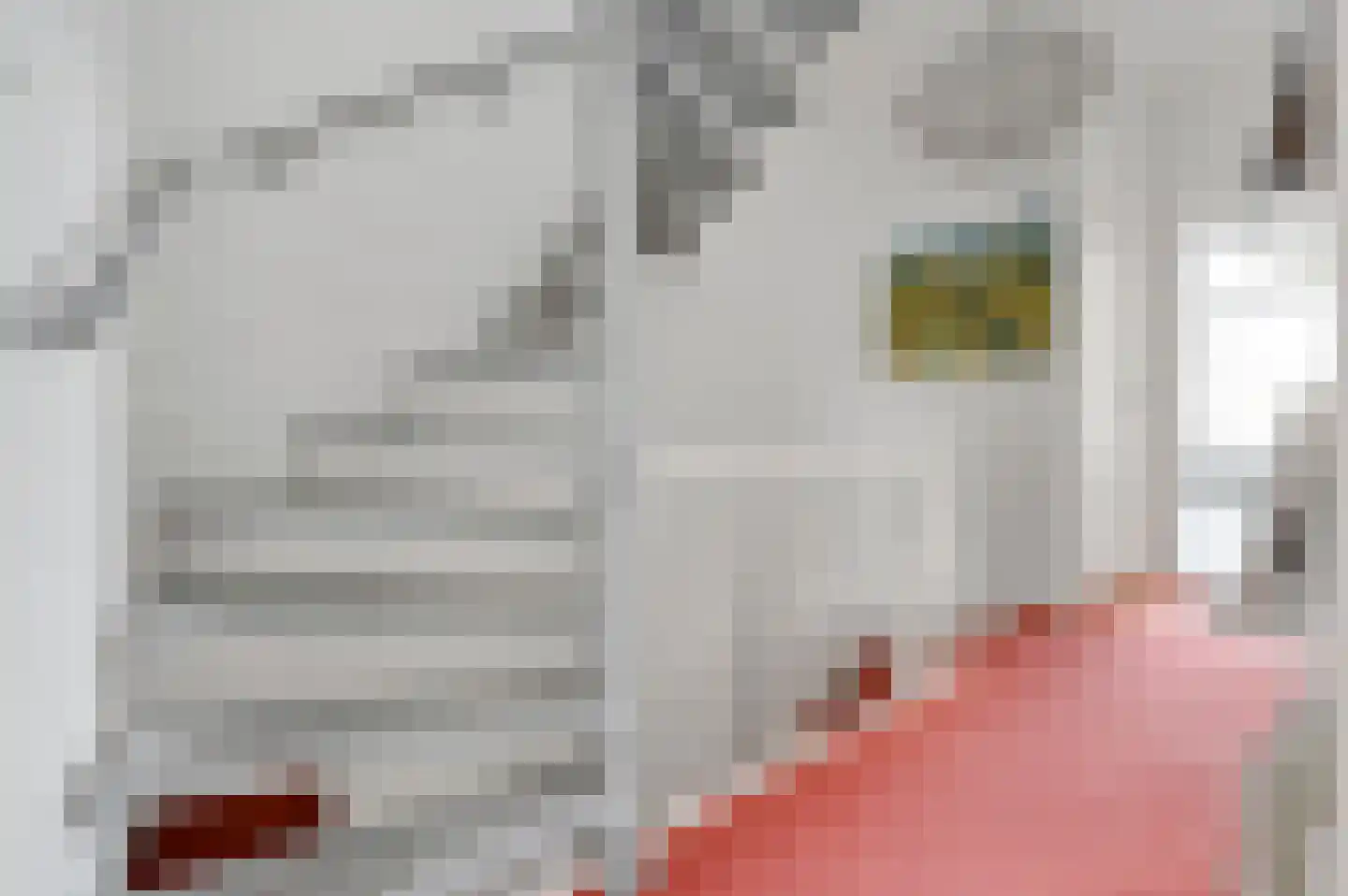 Vrijburgstraat 3 Voorburg thumbnail 34