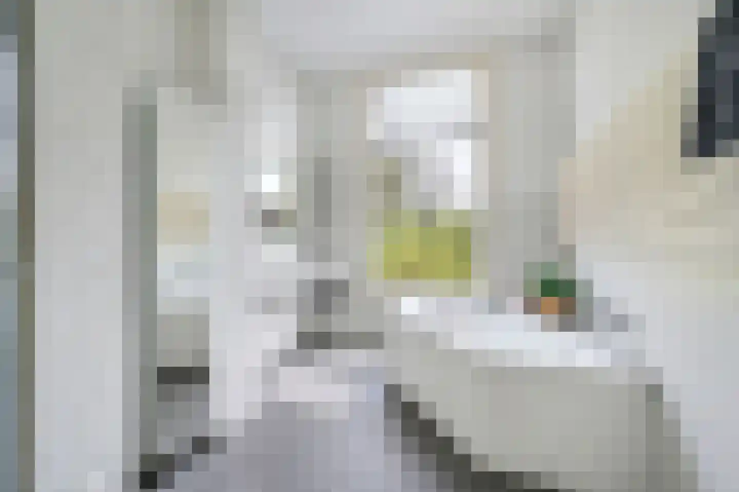 Vrijburgstraat 3 Voorburg thumbnail 42