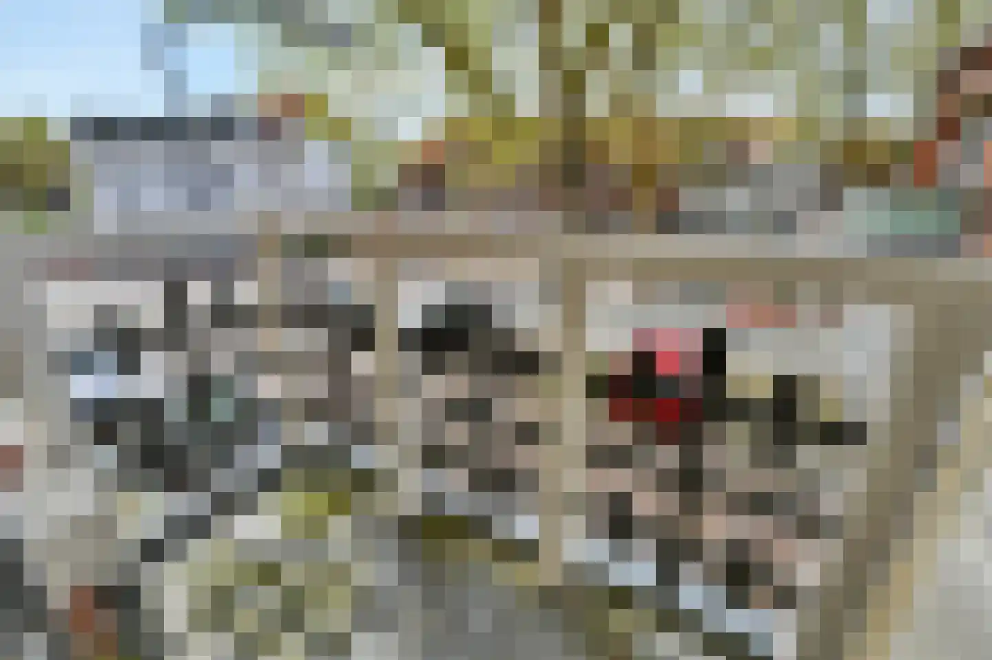 Vrijburgstraat 3 Voorburg thumbnail 47
