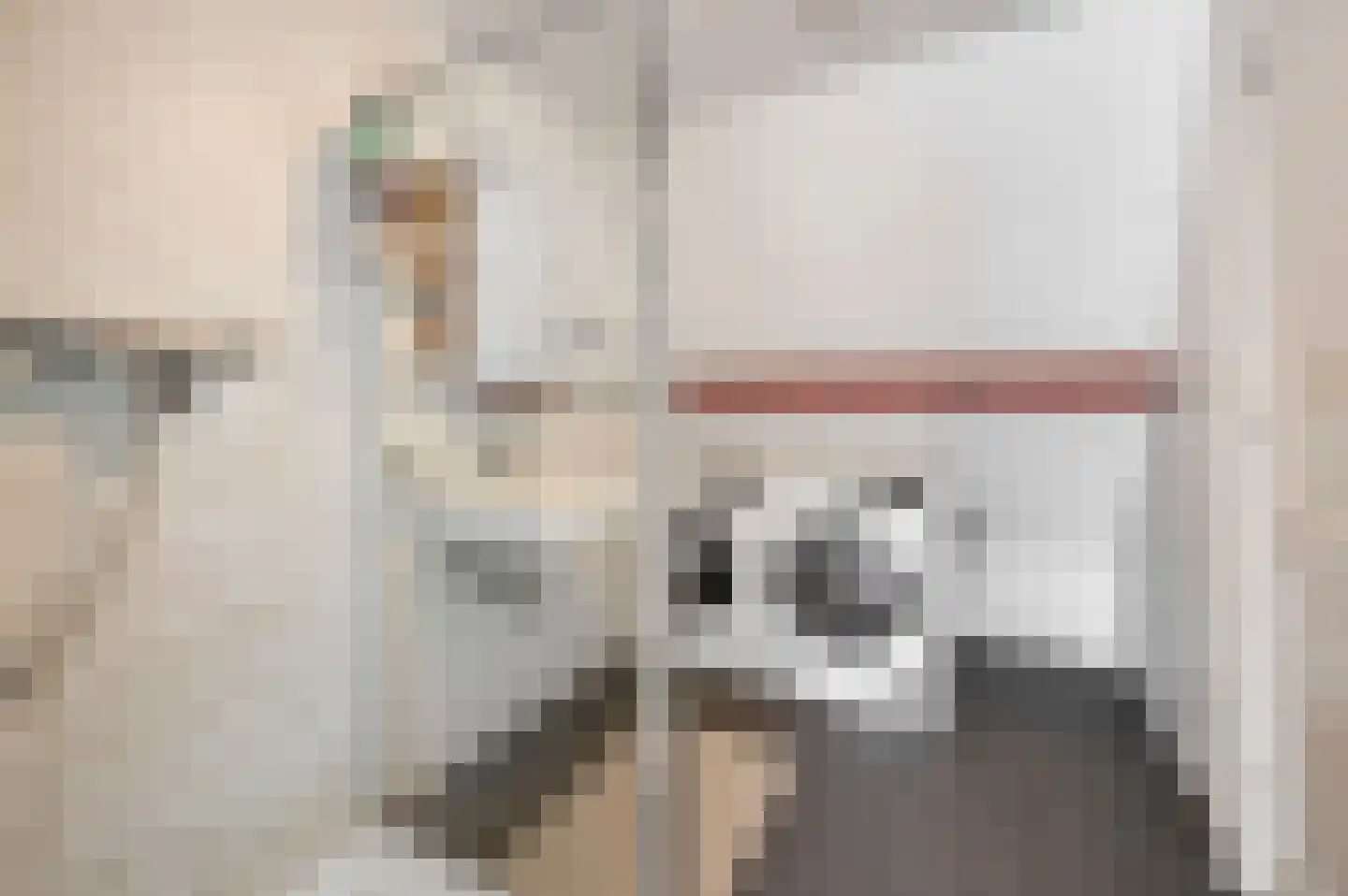 Vrijburgstraat 3 Voorburg thumbnail 58