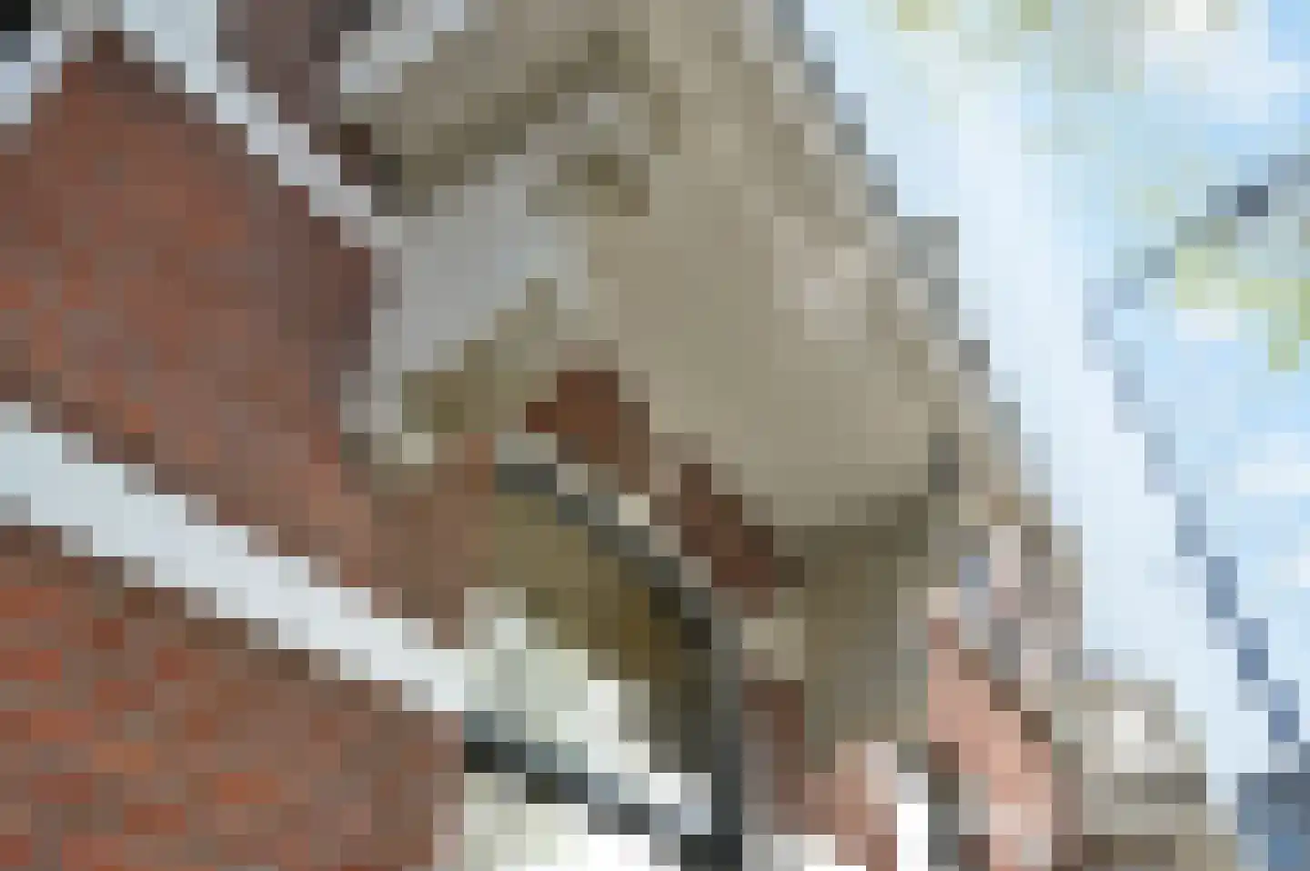 Vrijburgstraat 3 Voorburg thumbnail 63