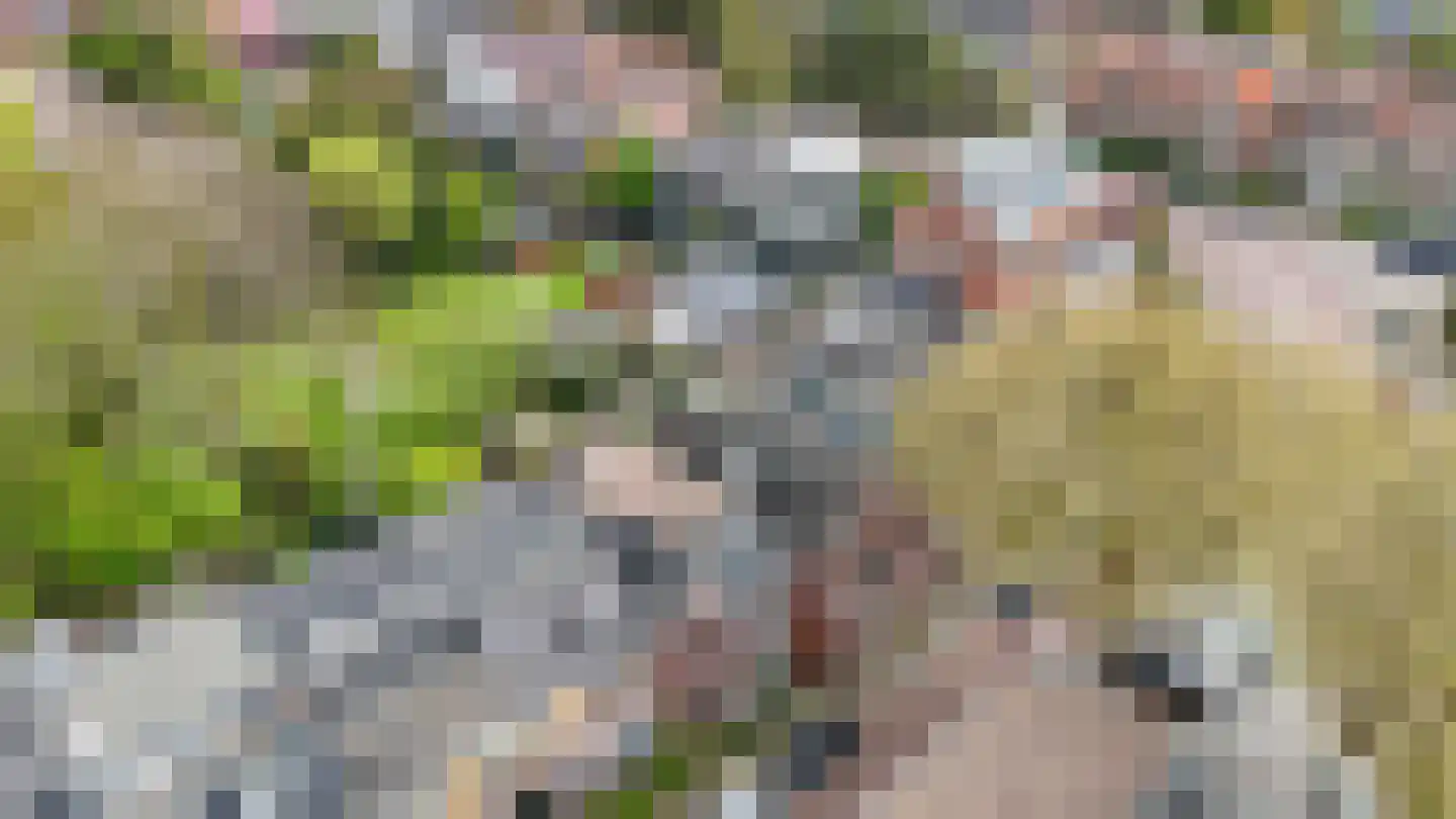 Vrijburgstraat 3 Voorburg thumbnail 67