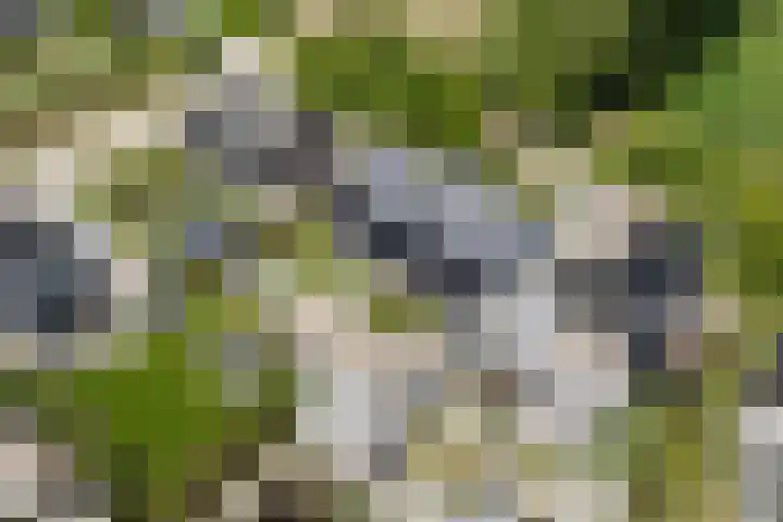 Vrijburgstraat 57 c Vlissingen thumbnail 81