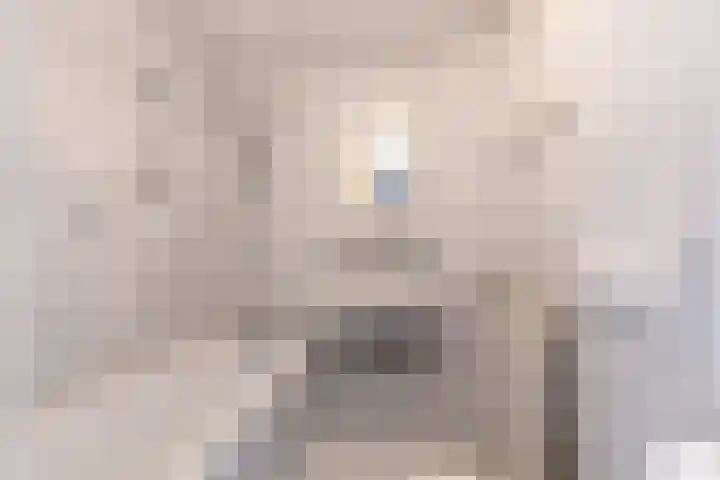 Vrijburgstrjitte 21 Beetsterzwaag thumbnail 23