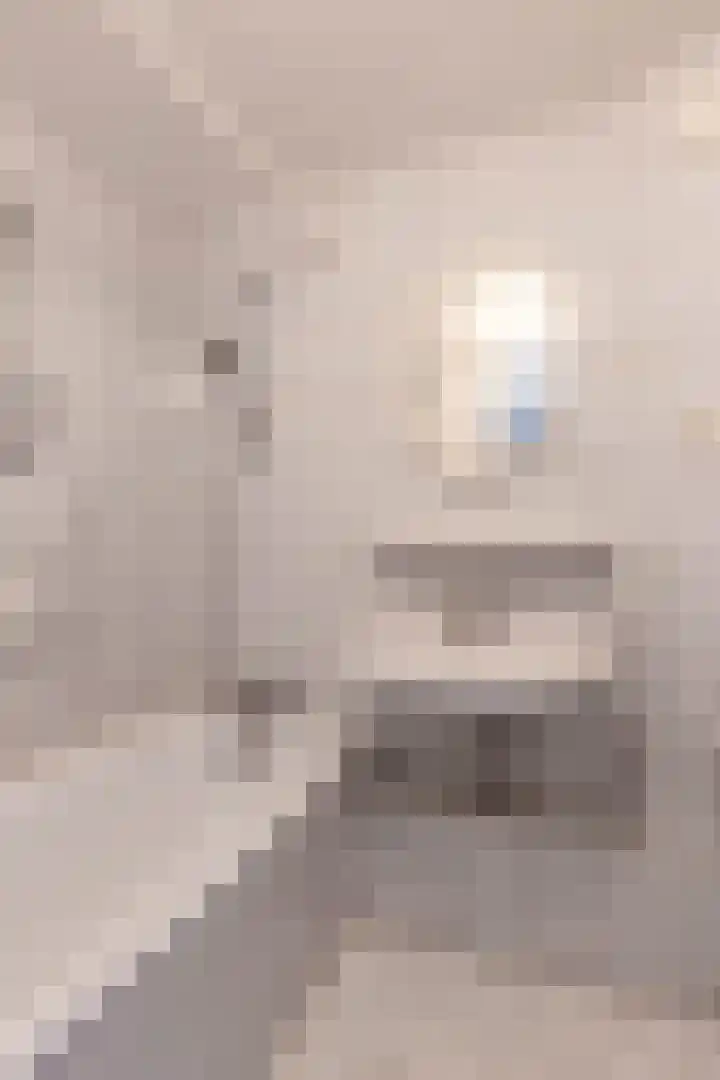 Vrijburgstrjitte 21 Beetsterzwaag thumbnail 25