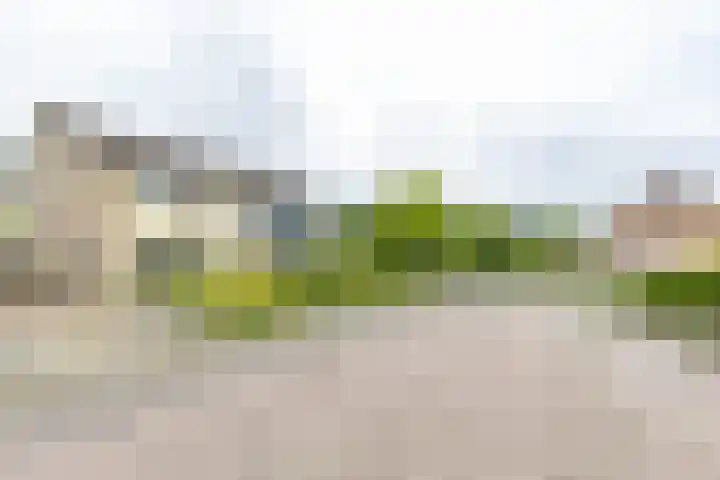Vrijburgstrjitte 21 Beetsterzwaag thumbnail 29