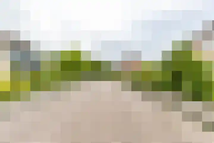 Vrijburgstrjitte 21 Beetsterzwaag thumbnail 31