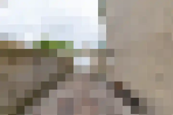 Vrijburgstrjitte 21 Beetsterzwaag thumbnail 32