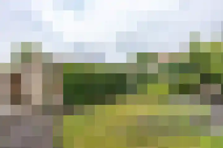 Vrijburgstrjitte 21 Beetsterzwaag thumbnail 34