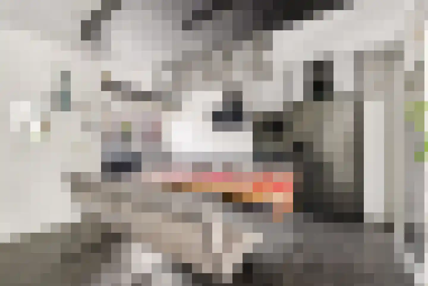 Vrijdagstraat 1 Almere thumbnail 11