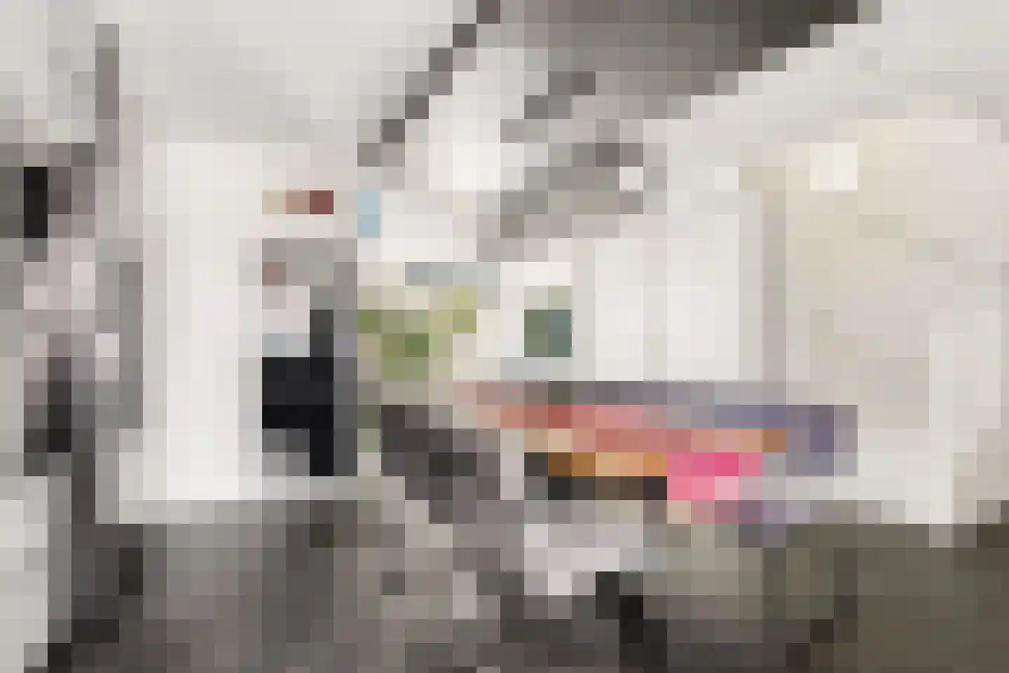 Vrijdagstraat 1 Almere thumbnail 17