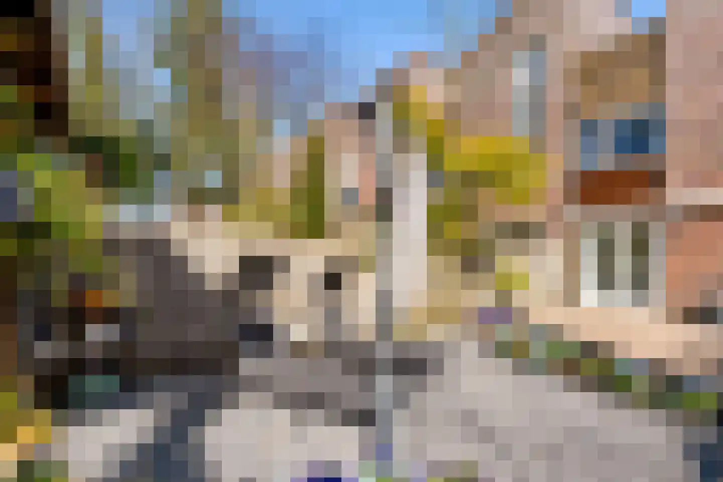 Vrijdagstraat 1 Almere thumbnail 26