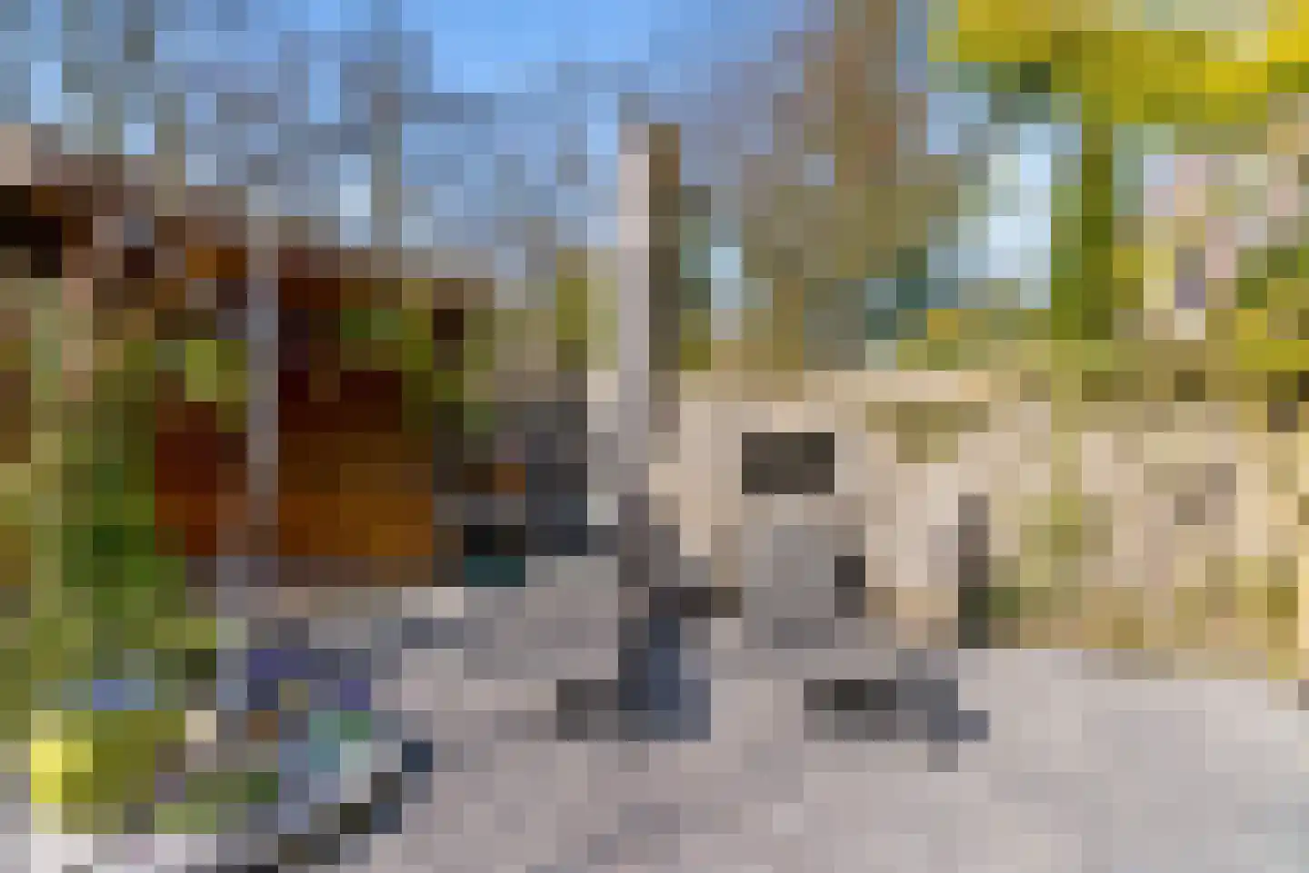 Vrijdagstraat 1 Almere thumbnail 5