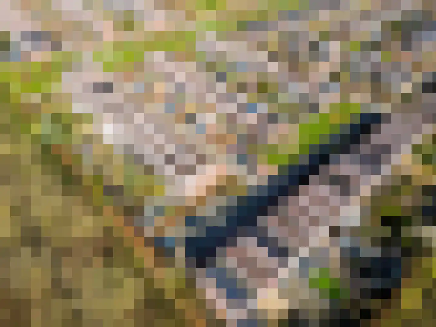 Vrijdagstraat 1 Almere thumbnail 62