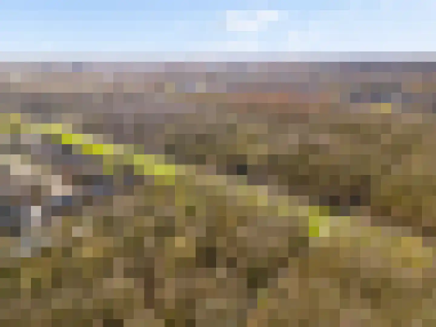 Vrijdagstraat 1 Almere thumbnail 63