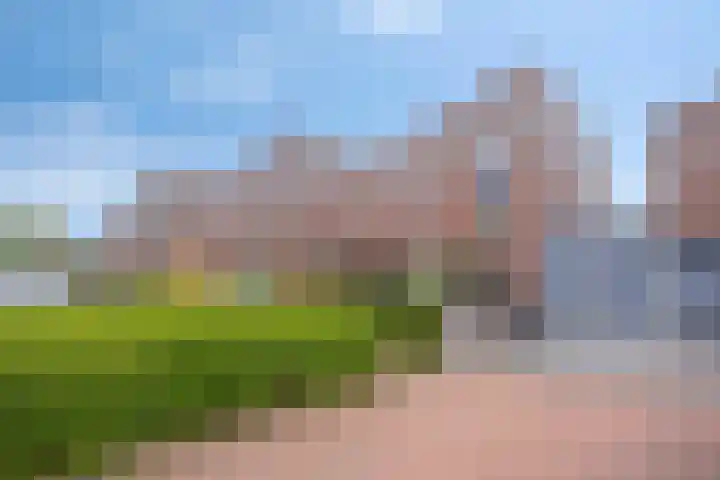 Vrijdagstraat 12 Almere thumbnail 35