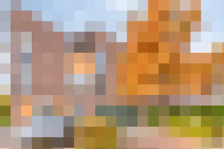 Vrijdagstraat 29 Almere