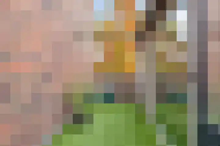 Vrijdagstraat 29 Almere thumbnail 28