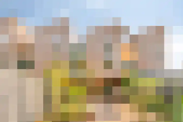 Vrijdagstraat 29 Almere thumbnail 36