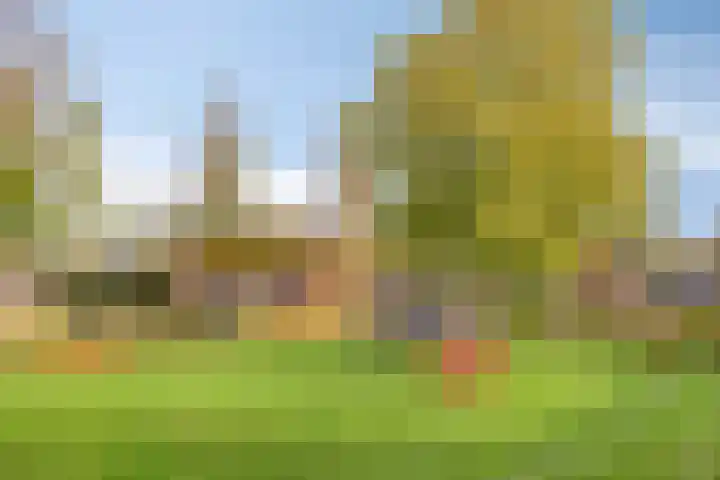 Vrijdagstraat 29 Almere thumbnail 39