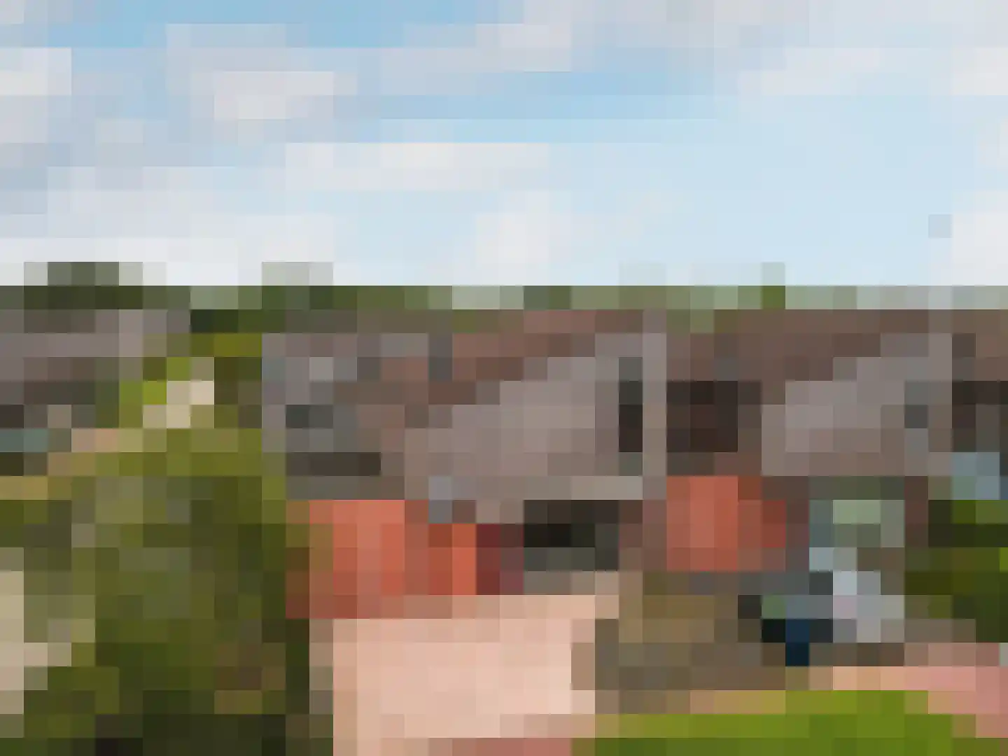 Vrijdagstraat 34 Almere thumbnail 37