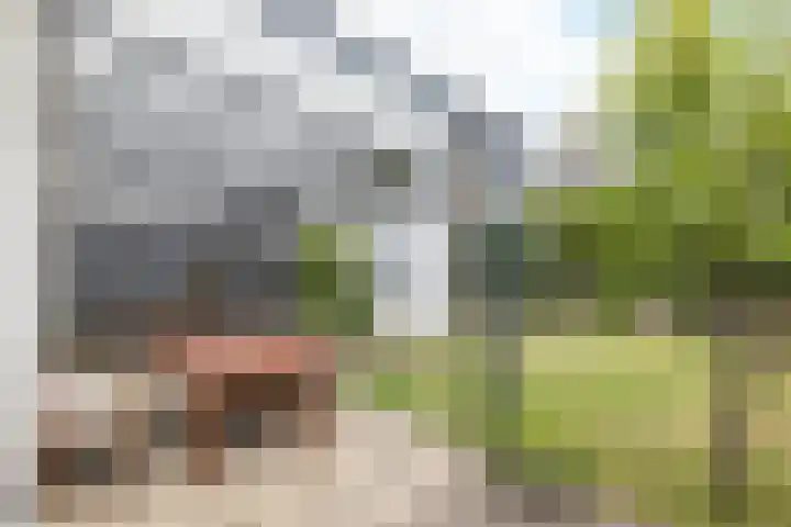 Vrijdagstraat 7 Heerlen thumbnail 26
