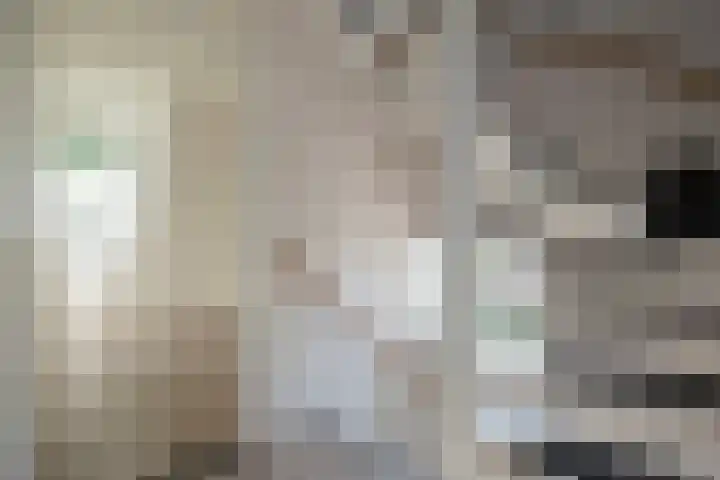 Vrijdal 37 Groningen thumbnail 17