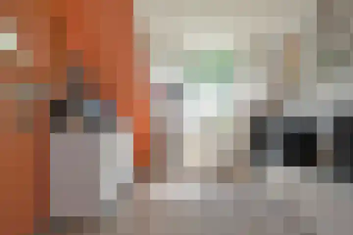 Vrijdal 37 Groningen thumbnail 20