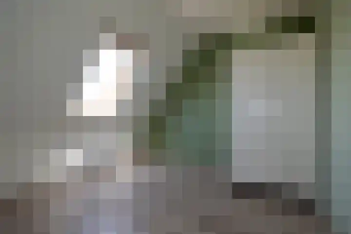 Vrijdal 37 Groningen thumbnail 21