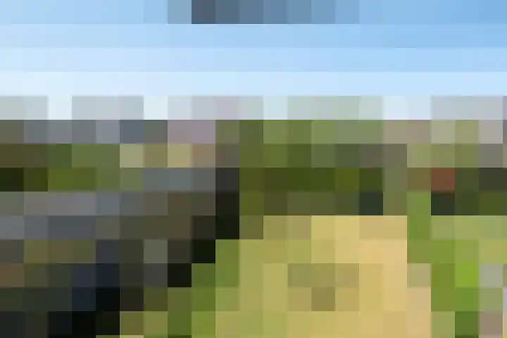 Vrijdal 37 Groningen thumbnail 22