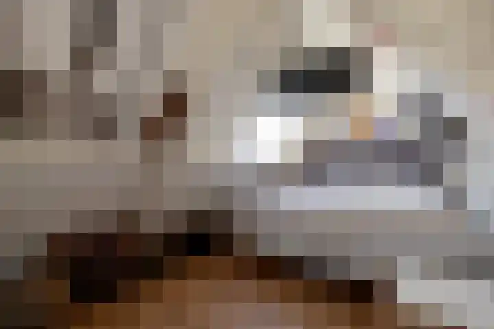 Vrijdal 37 Groningen thumbnail 26