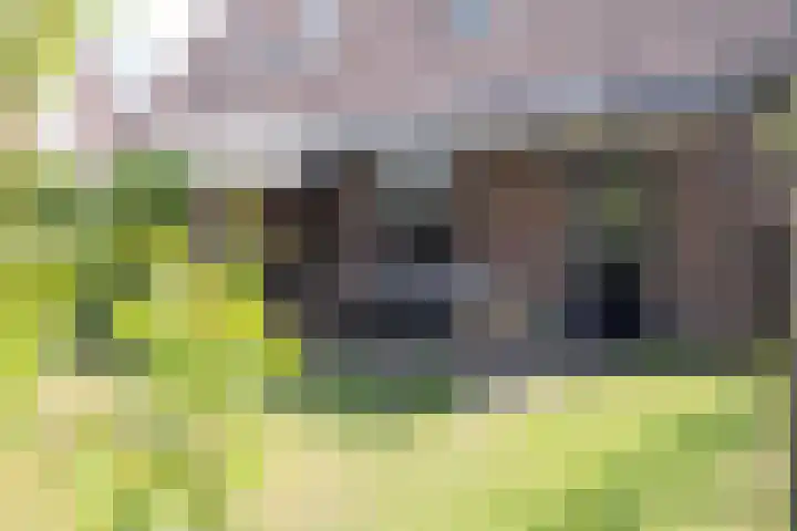 Vrijdal 37 Groningen thumbnail 27