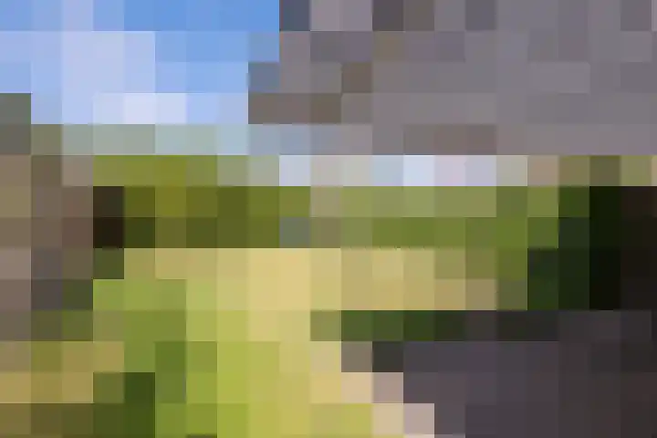 Vrijdal 37 Groningen thumbnail 29
