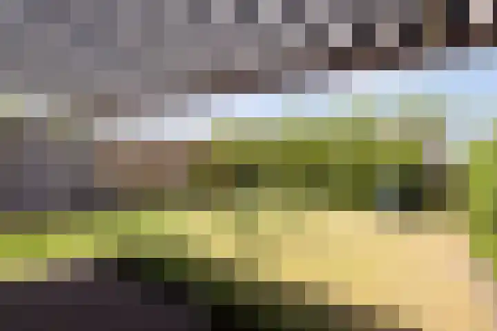 Vrijdal 37 Groningen thumbnail 30