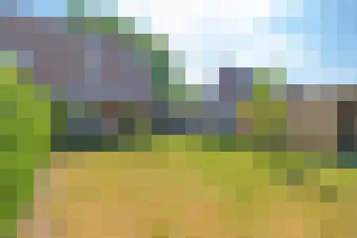 Vrijdal 37 Groningen thumbnail 32