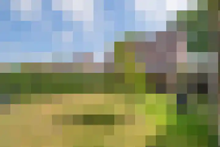 Vrijdal 37 Groningen thumbnail 36