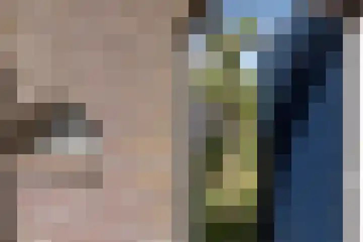 Vrijdal 37 Groningen thumbnail 37