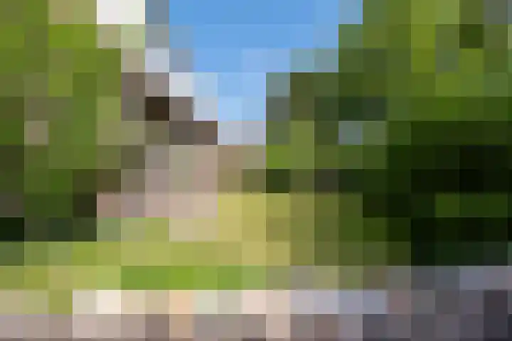 Vrijdal 37 Groningen thumbnail 40