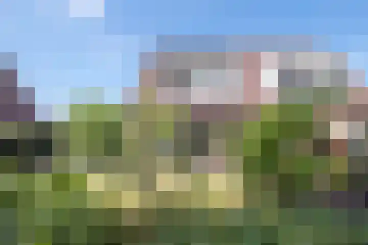 Vrijdal 37 Groningen thumbnail 41