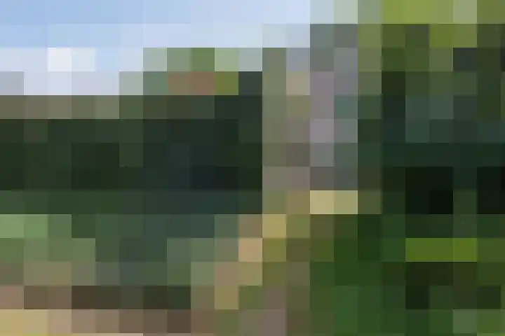 Vrijdal 37 Groningen thumbnail 43