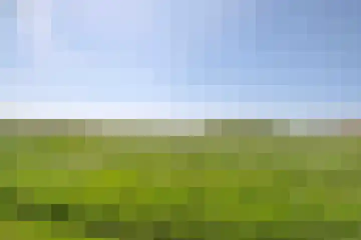Vrijdal 37 Groningen thumbnail 45