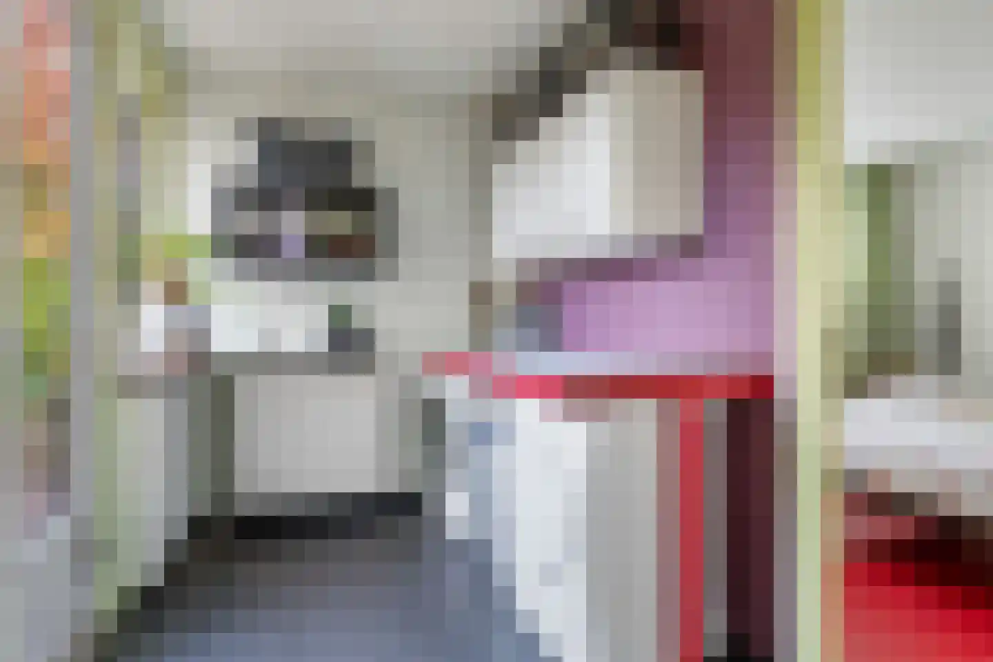 Vrijdal 51 Groningen thumbnail 15