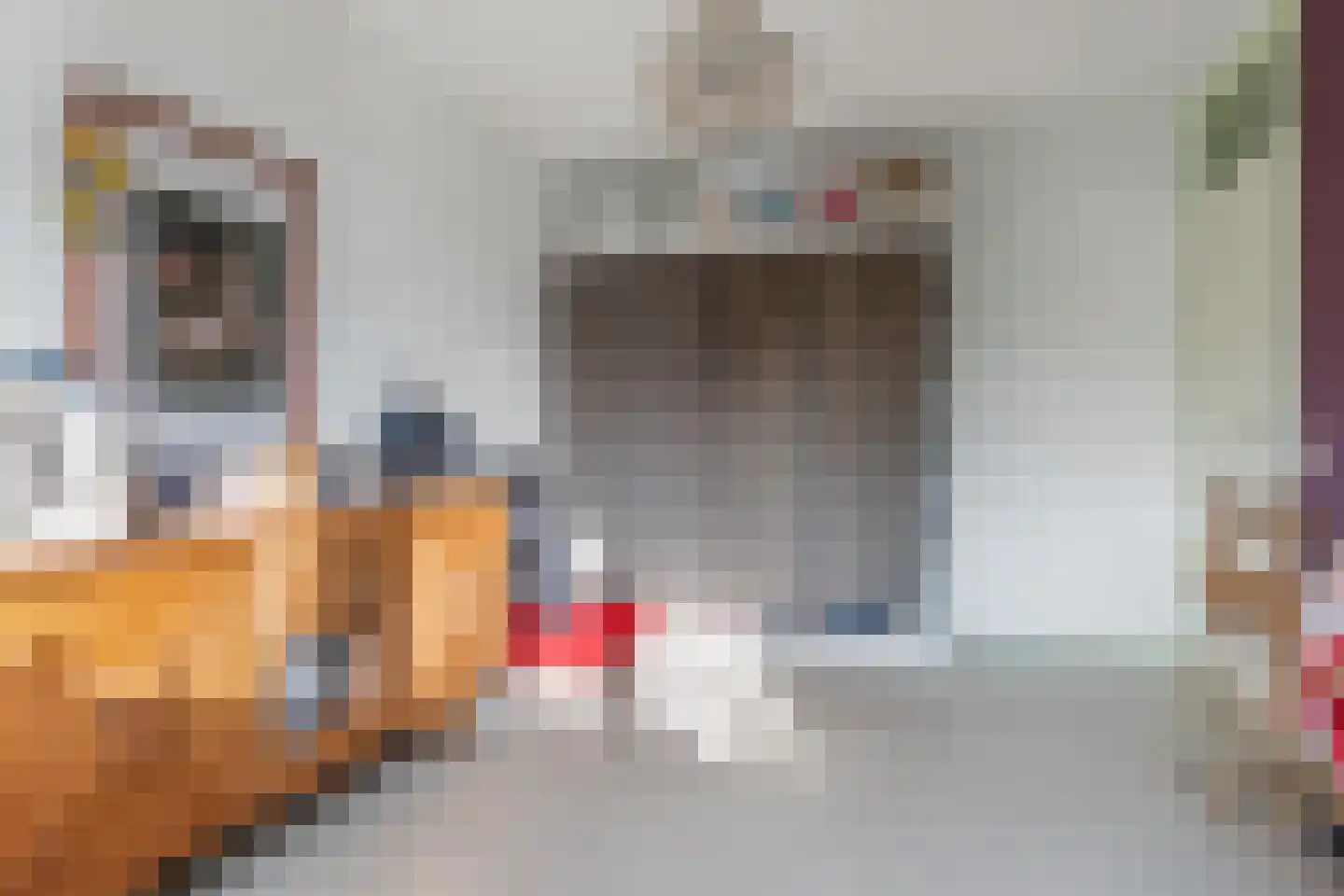 Vrijdal 51 Groningen thumbnail 22